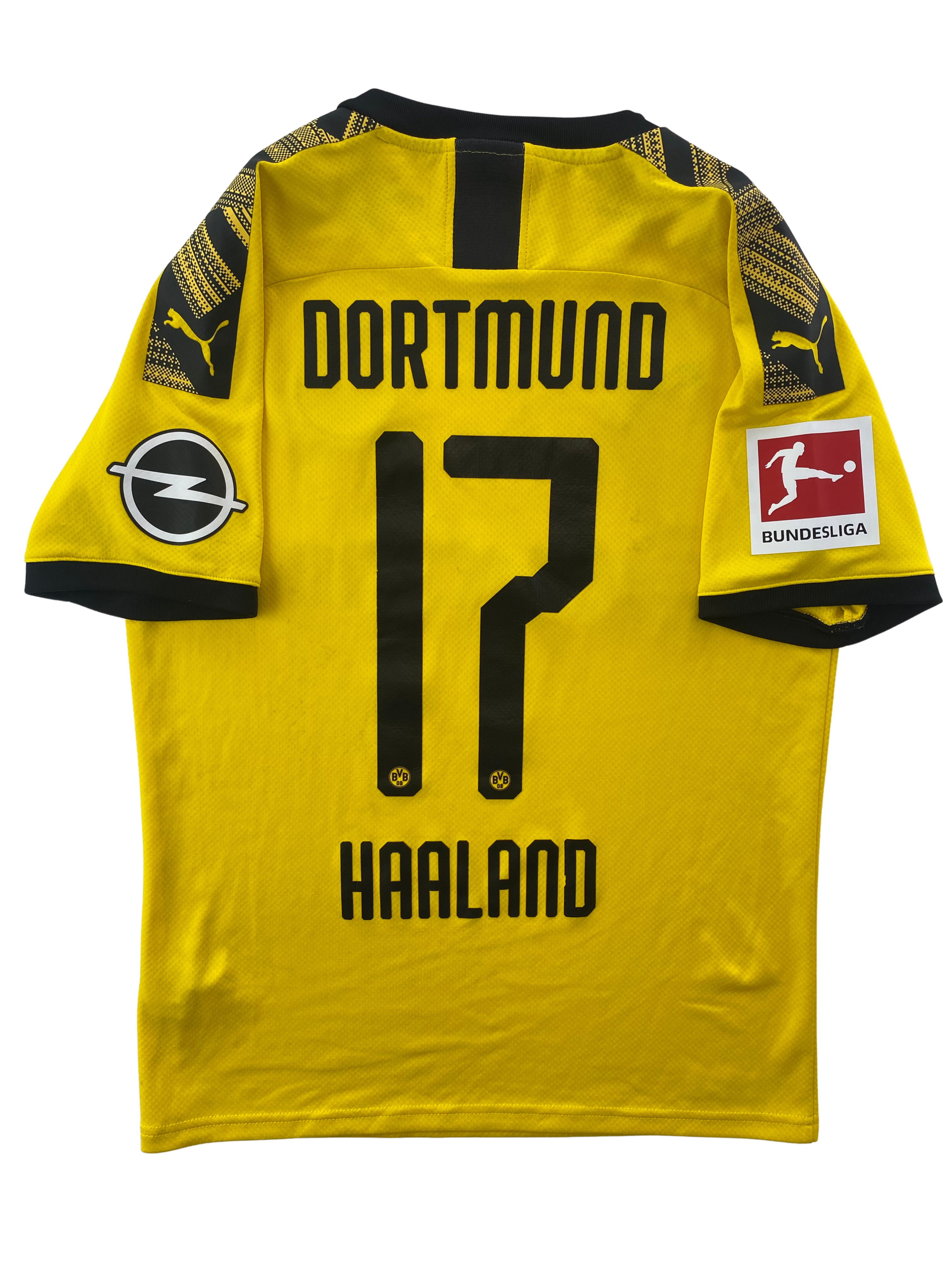 Erling Haaland Dortmund 19/20 - S