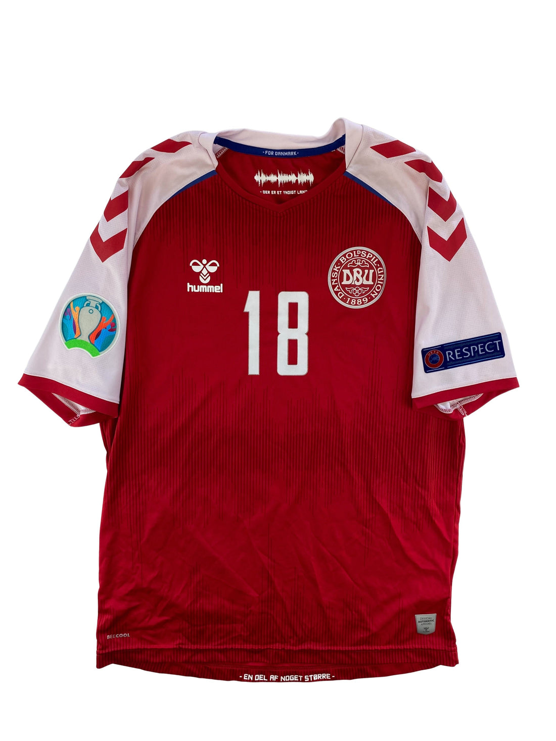 Daniel Wass Danmark 20/22 - L