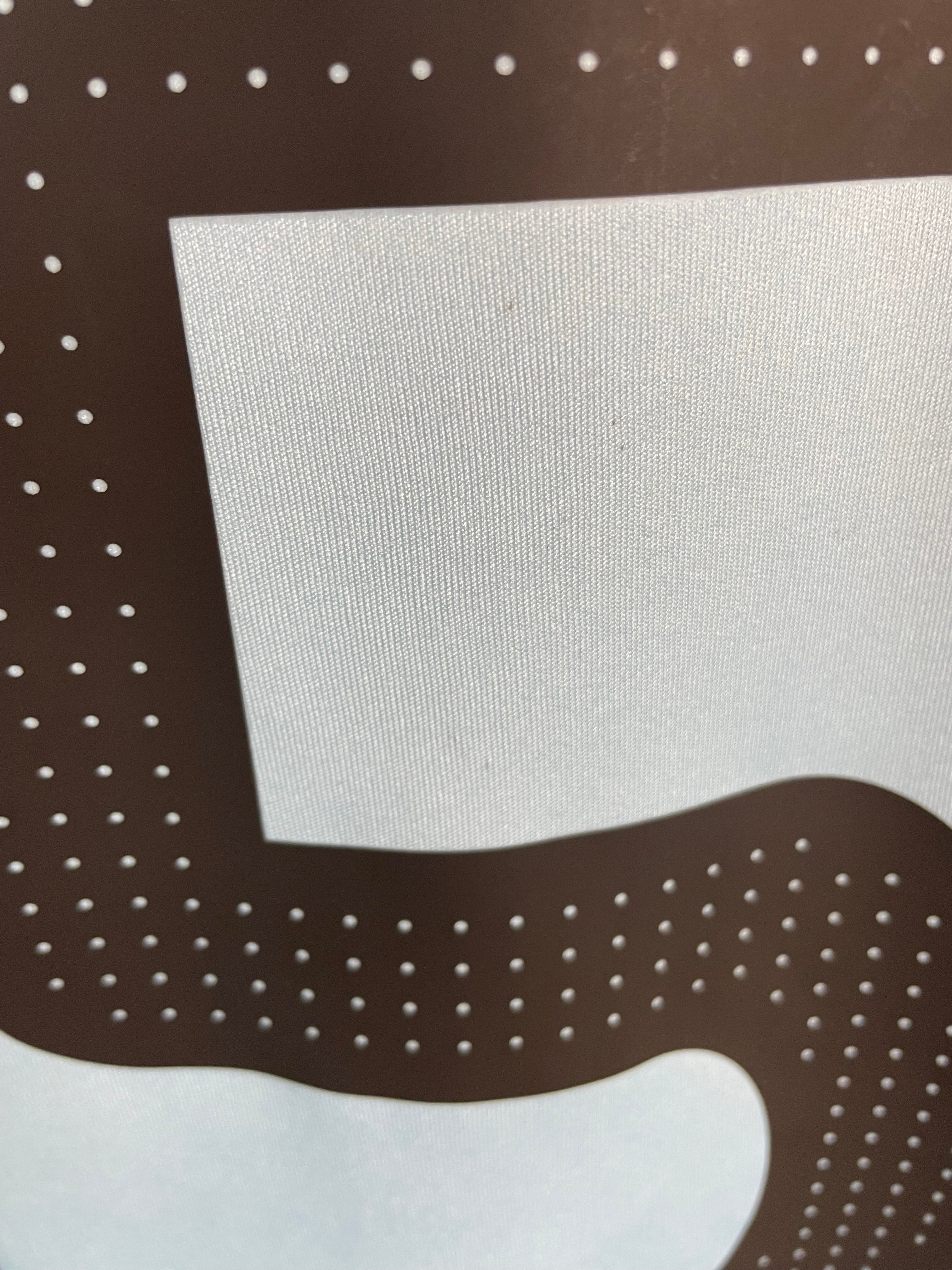 Lionel Messi Argentinien Heimtrikot 08/10 - XL