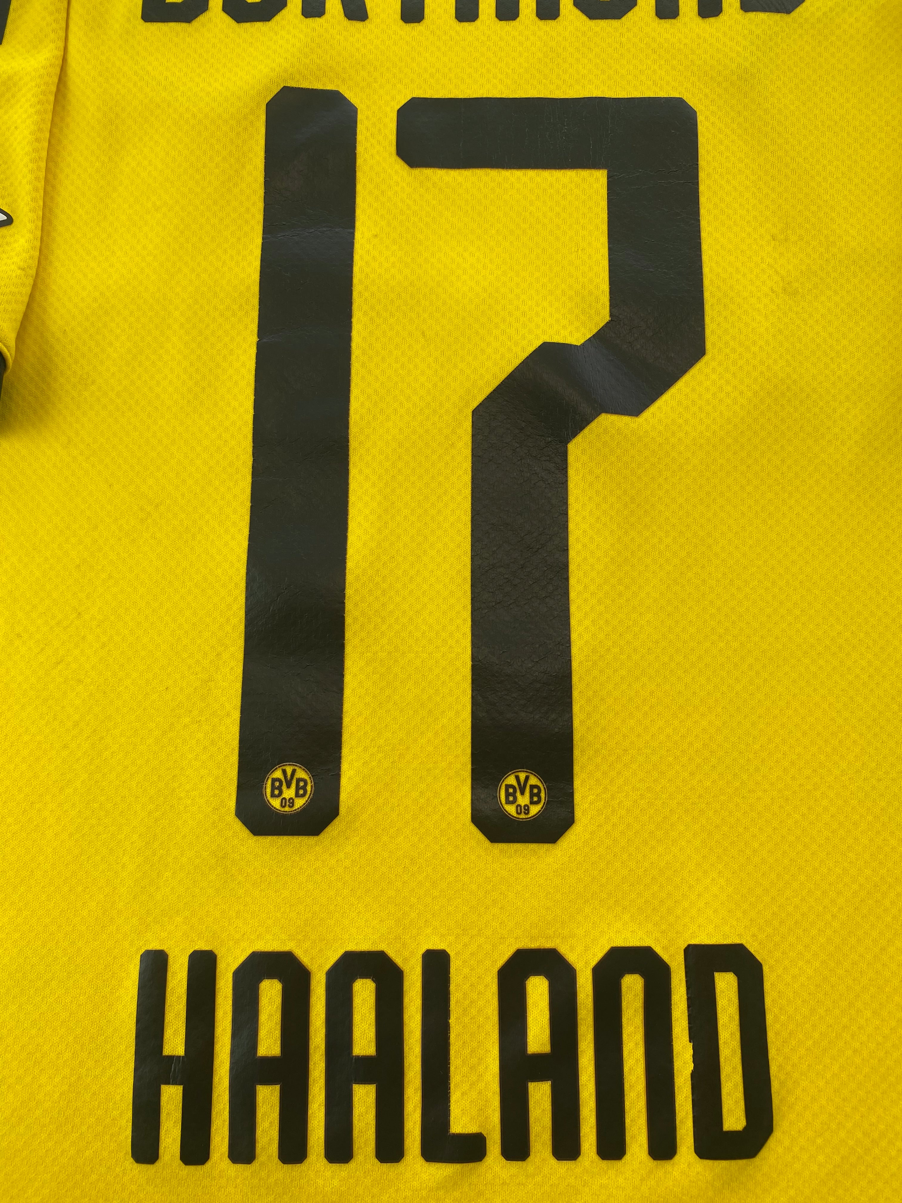Erling Haaland Dortmund 19/20 - S