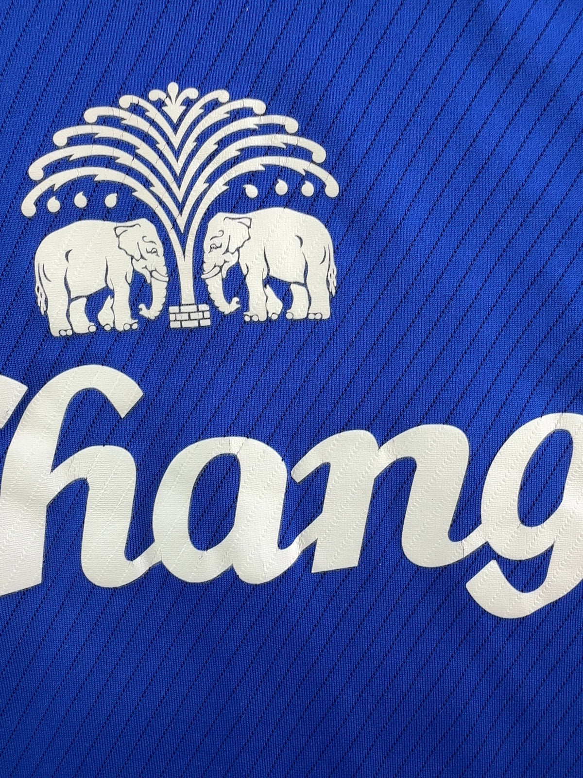 Thomas Gravesen Everton 08/09 - M · detalje