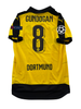 Ilkay Gündogan Dortmund 14/15 - M