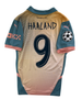 Erling Haaland Manchester City 24/25 -