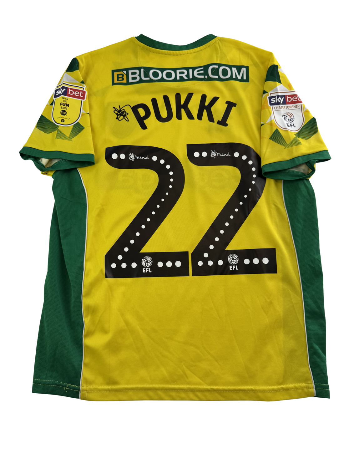Teemu Pukki Norwich 18/19 - S