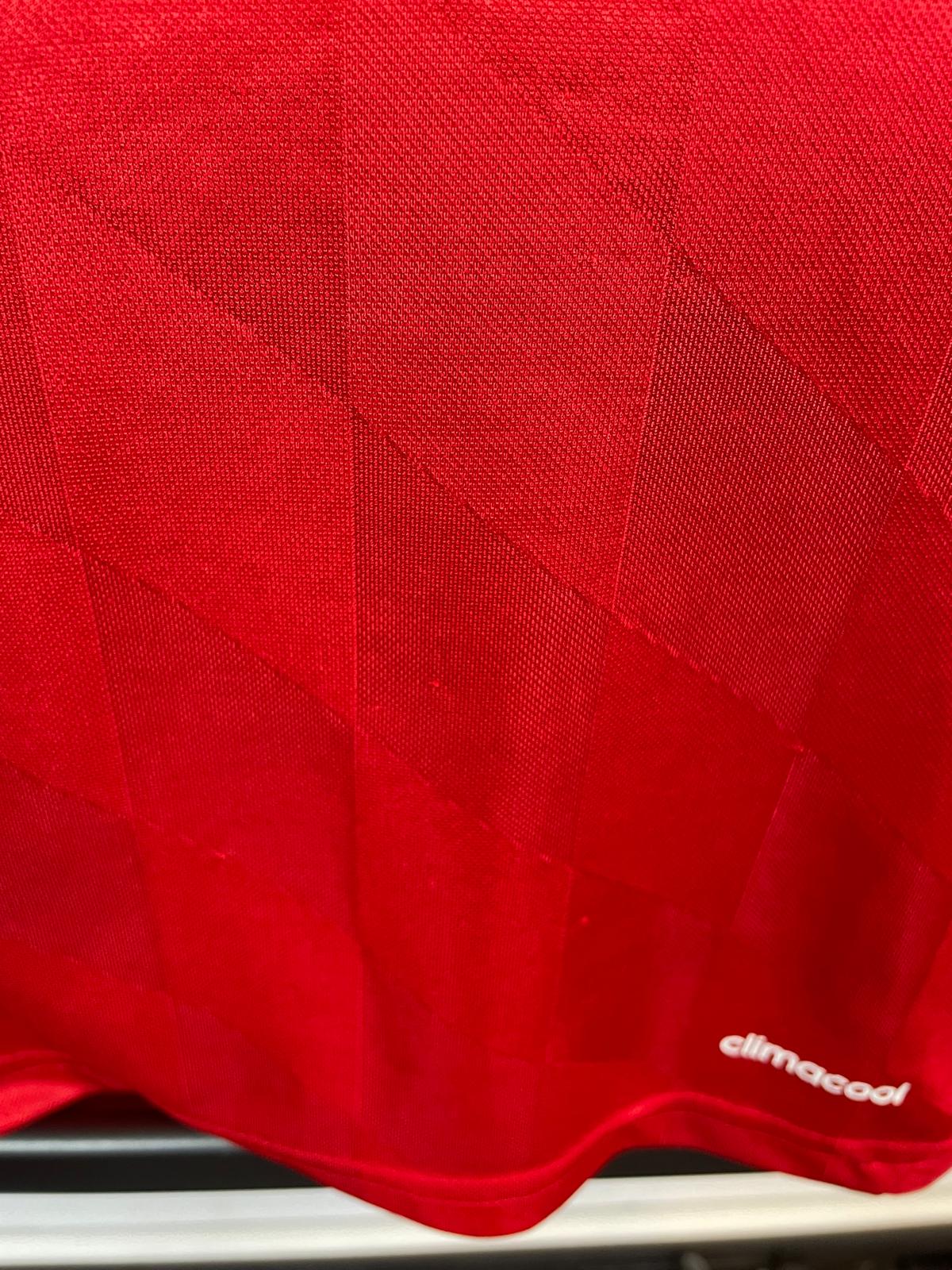 Bastian Schweinsteiger Bayern München 12/13 hjemmebanetrøje Finaletryk - M