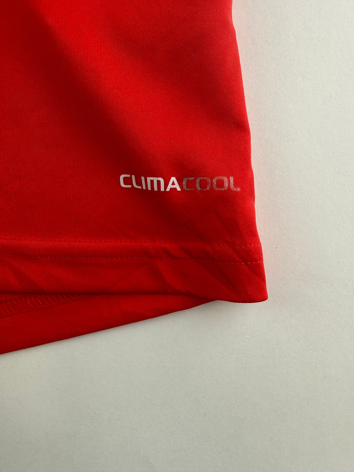 Amorim Benfica 11/12 - L