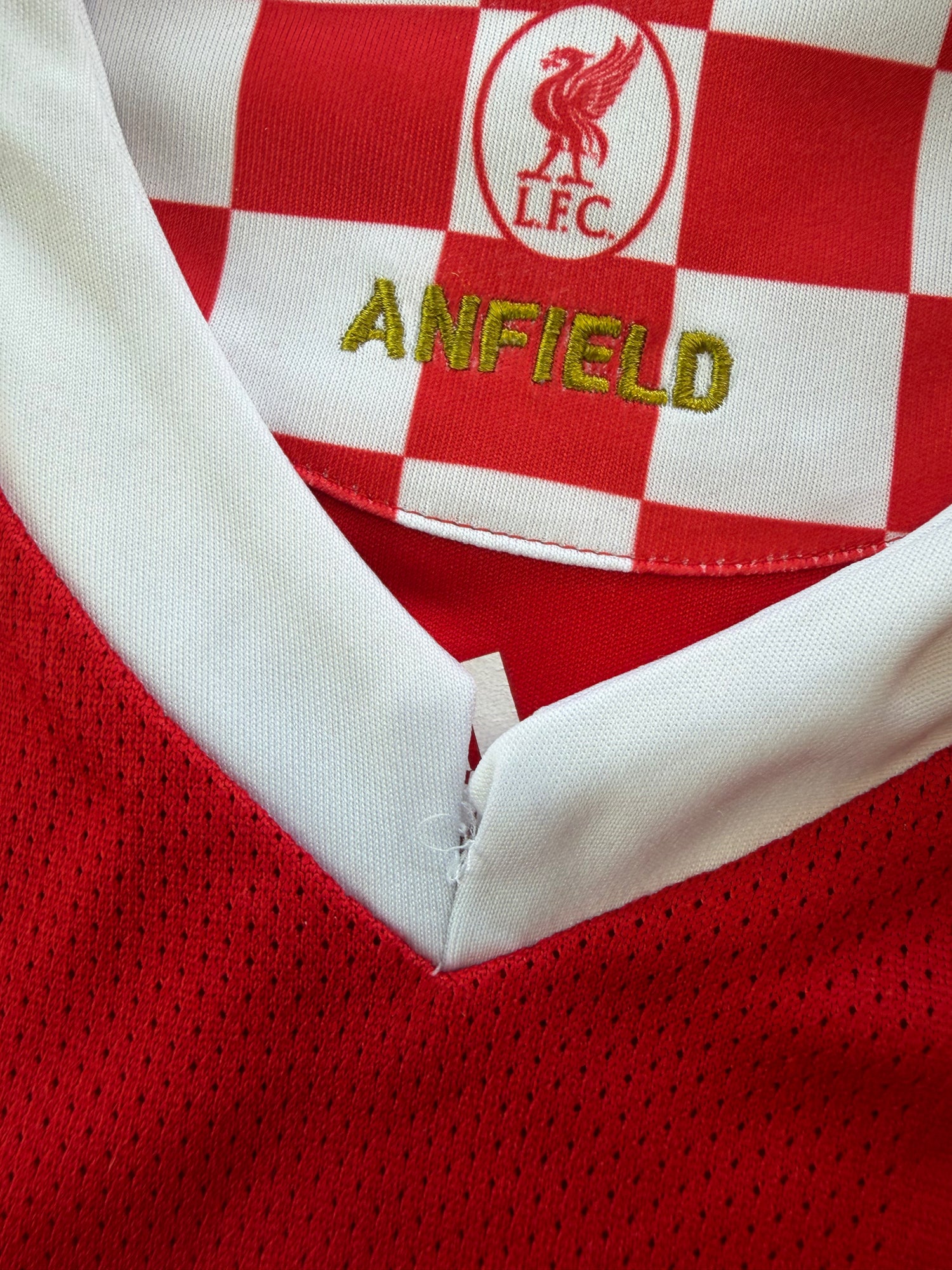 Fernando Torres Liverpool 08/10 - L