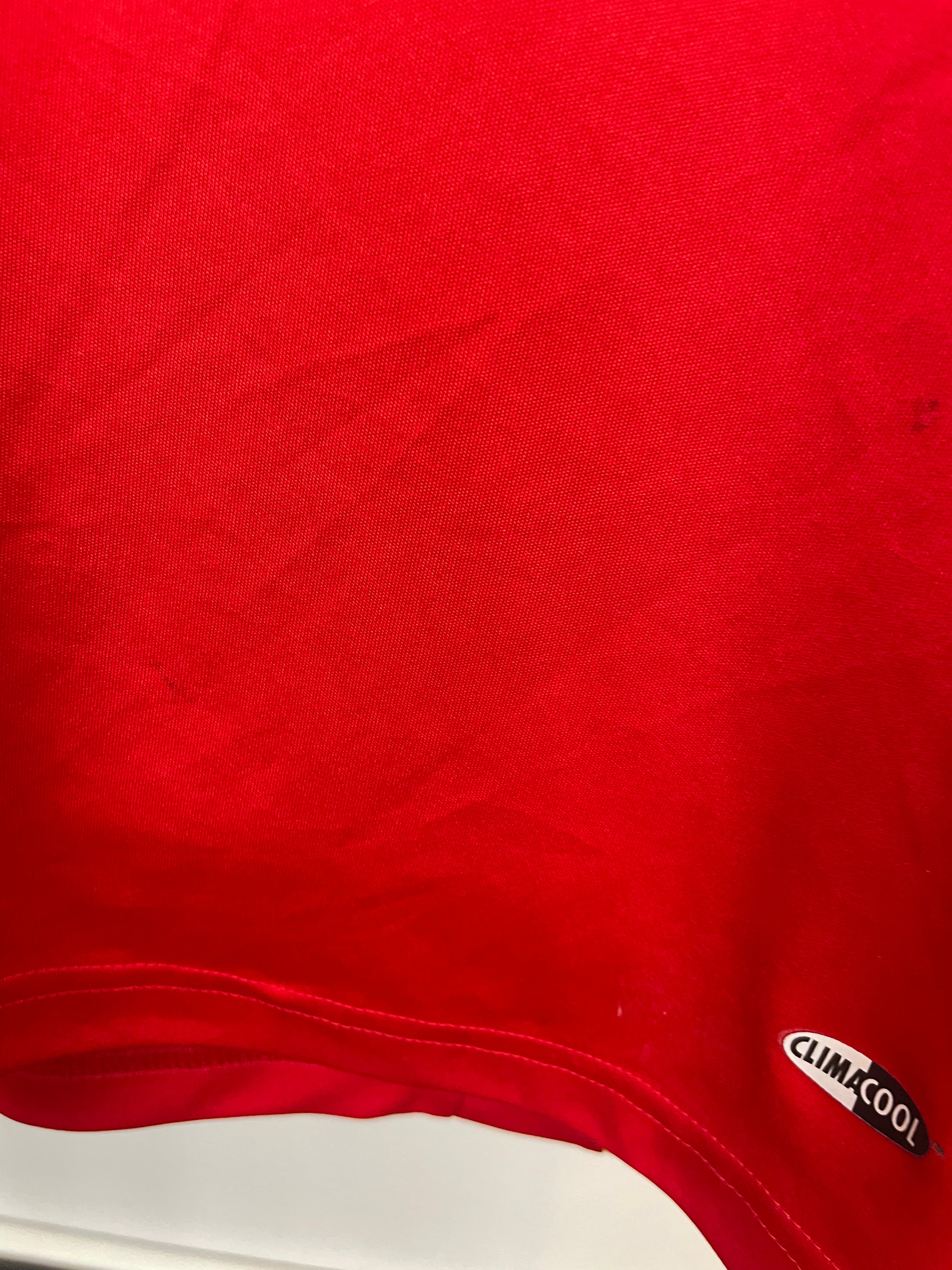 Fernando Torres Spanien 08/10 Heimtrikot - L