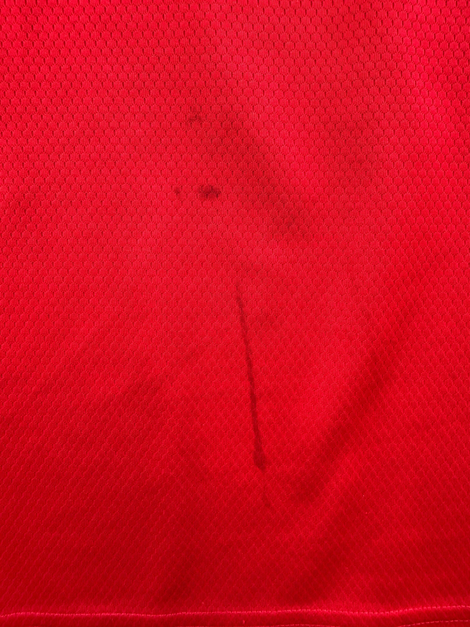 Paul Pogba Manchester United 19/20 - XXL